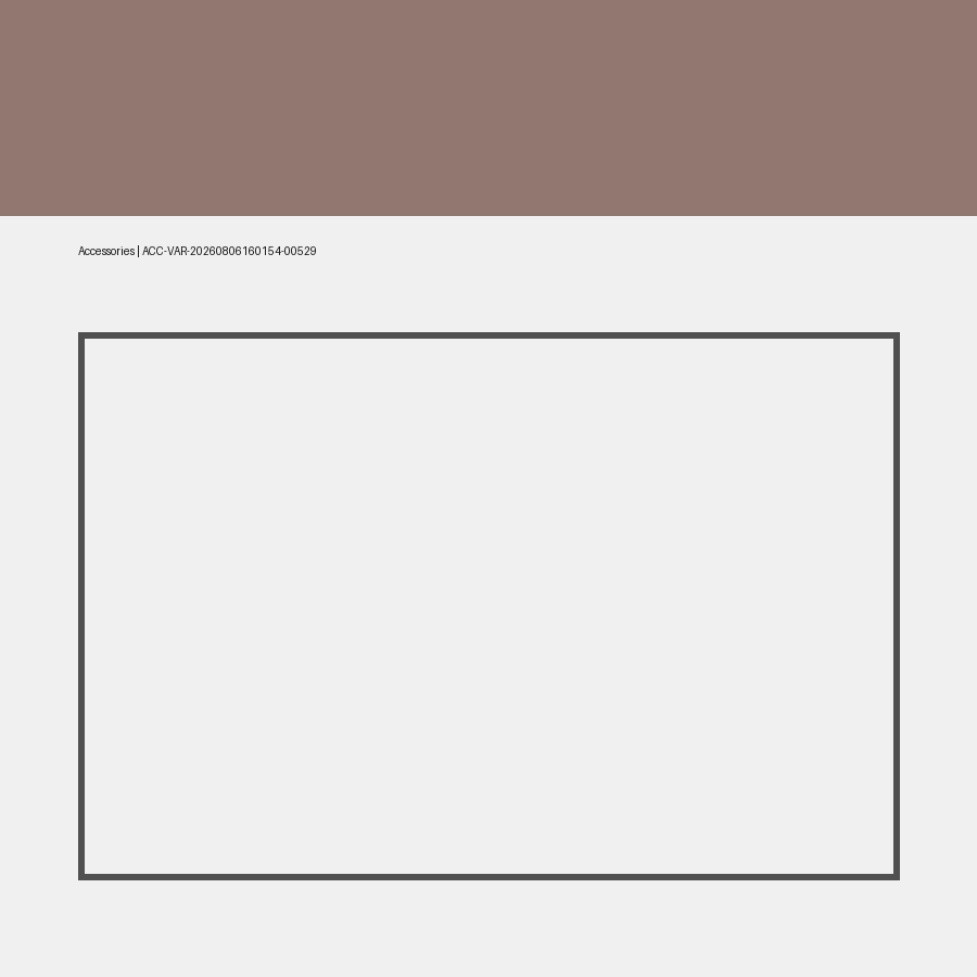Odoo 19 Accessories Variable 529