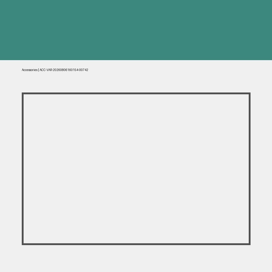 Odoo 19 Accessories Variable 742