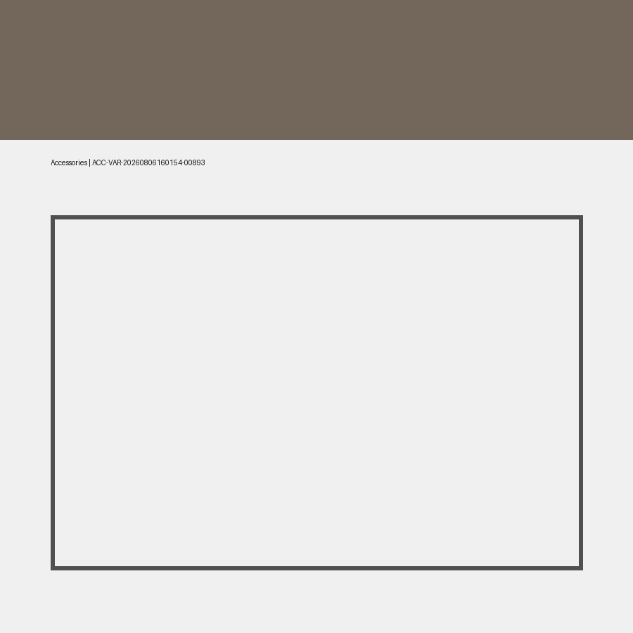 Odoo 19 Accessories Variable 893