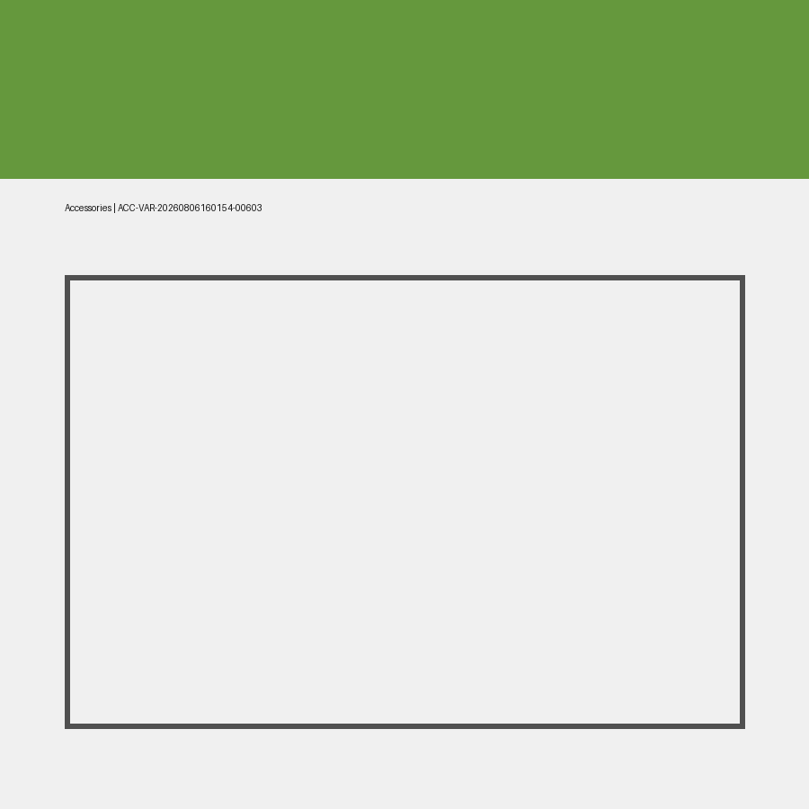 Odoo 19 Accessories Variable 603
